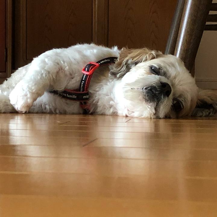 B0aa9ebc 0f67 47d2 ba6a a12d7614d2c2 1593985490437