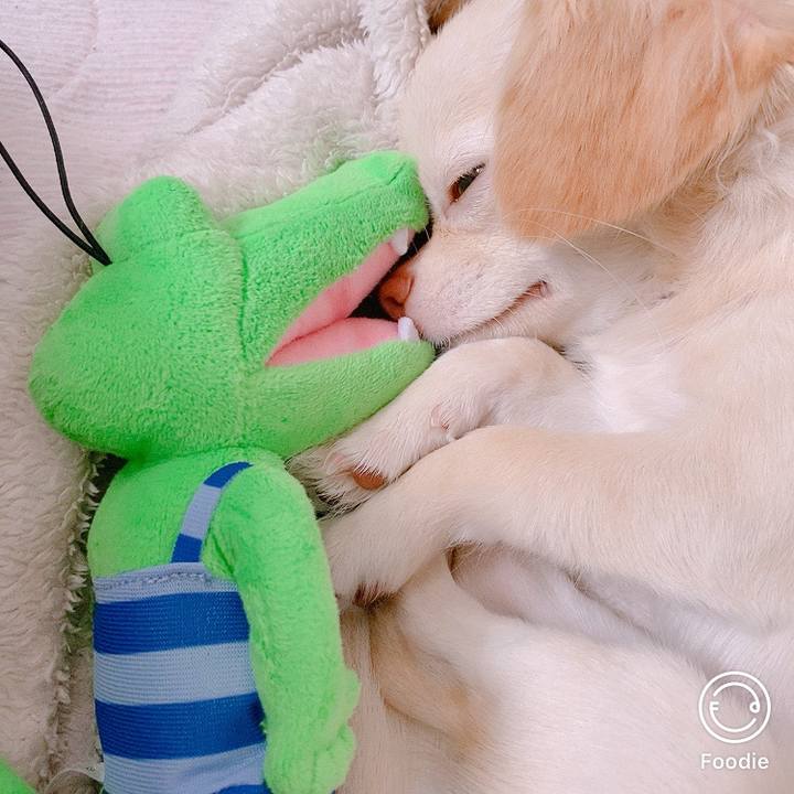 B0aaa799 b56d 4297 99a6 507ac434fe34 1600166716966