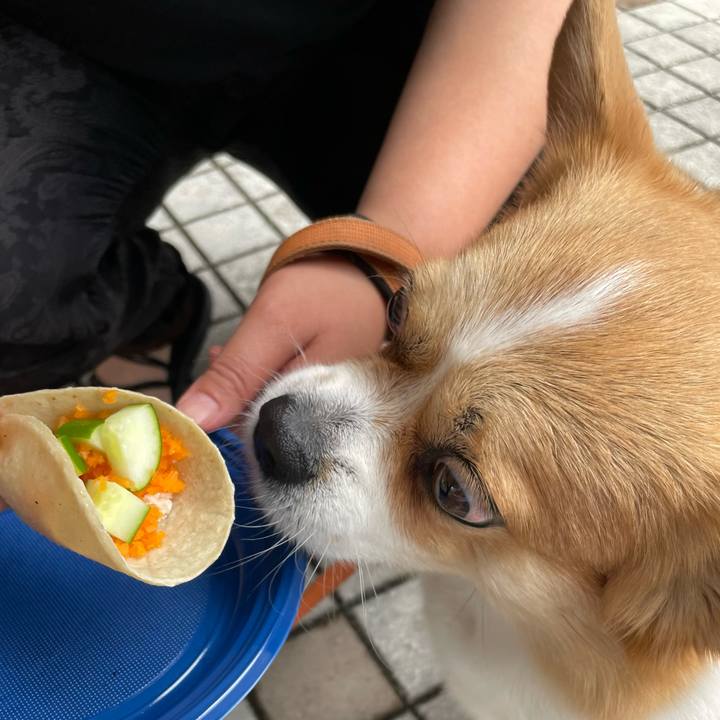 B0aabd25 6a6d 4b5b aaae 21dde7228346 1719138882062