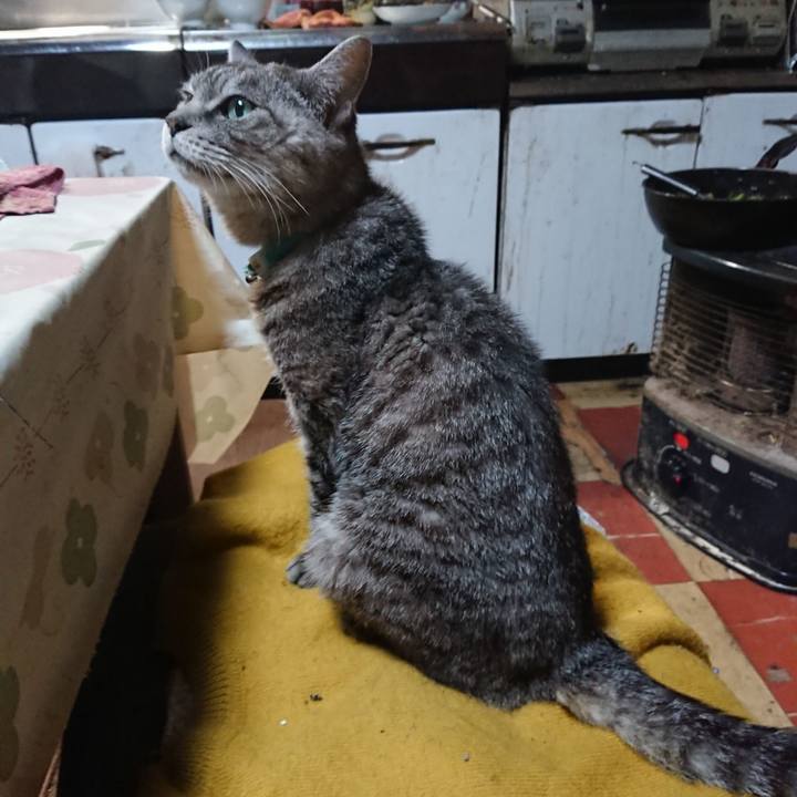 B0aac4f0 3ac7 46bf a35d d991a6d7062b 1570536782035