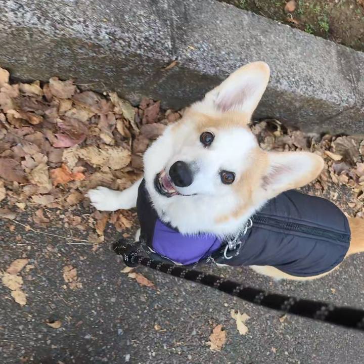 B0aaf2f8 54d4 4236 98d7 0bd2557d4ee9 1764556822239