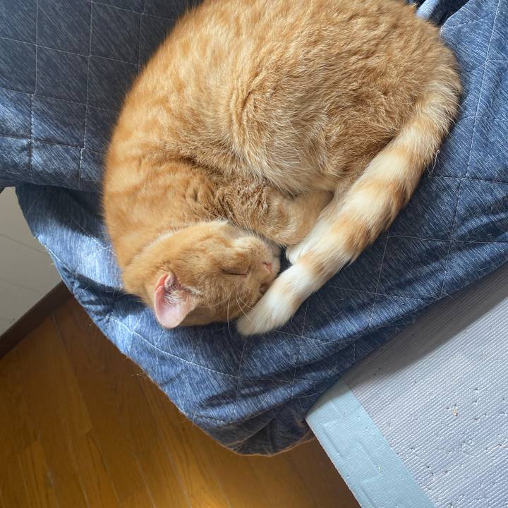 B0aaf898 3a46 45d0 86b6 d7785418bd59 1648698552029