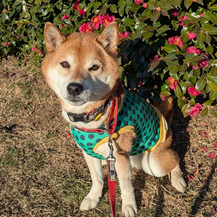 B0aafd35 f0e4 4d64 8a68 8a40cc3562e1 1769067852032