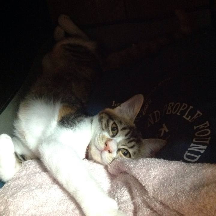 B0ab0d6e 4df1 4396 8734 cbd7ffb92d40 1630726434469