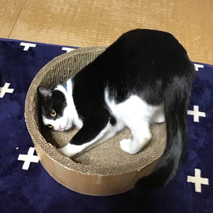 B0ab93ac bab5 46c9 894e ddf968b985af 1736669540995