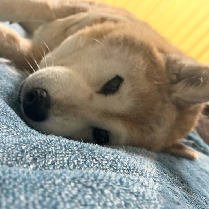 B0ab96b2 1624 4f37 bc67 47bb4e35314d 1687259640705