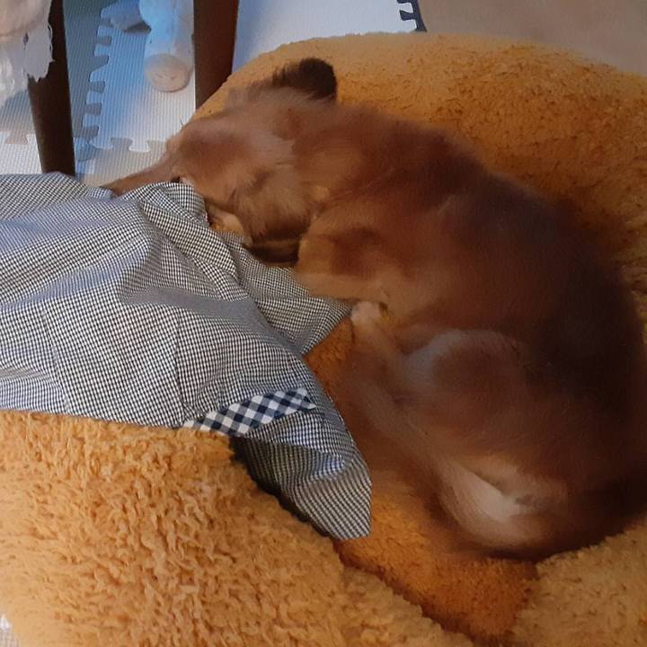 B0ab9d86 fabb 4a72 96e1 1405322a7a63 1629715792502