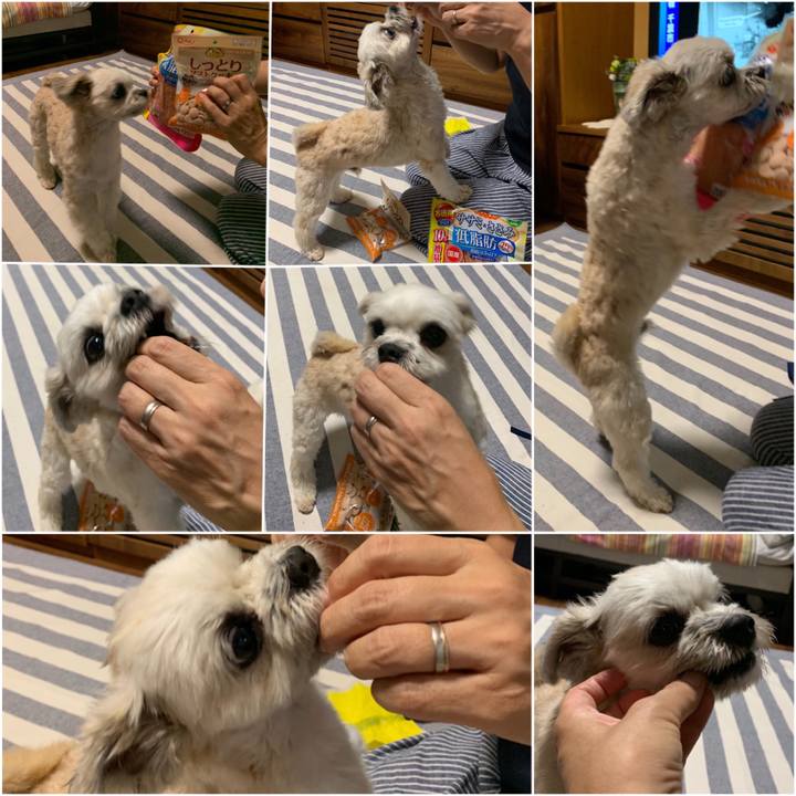 B0abbf8d 5146 4726 83dd 62fe40b3fe02 1568718446113