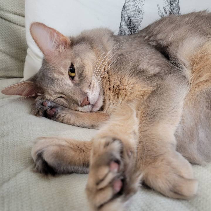 B0abca98 36f2 4e0b a7c8 34e657604448 1664944913820