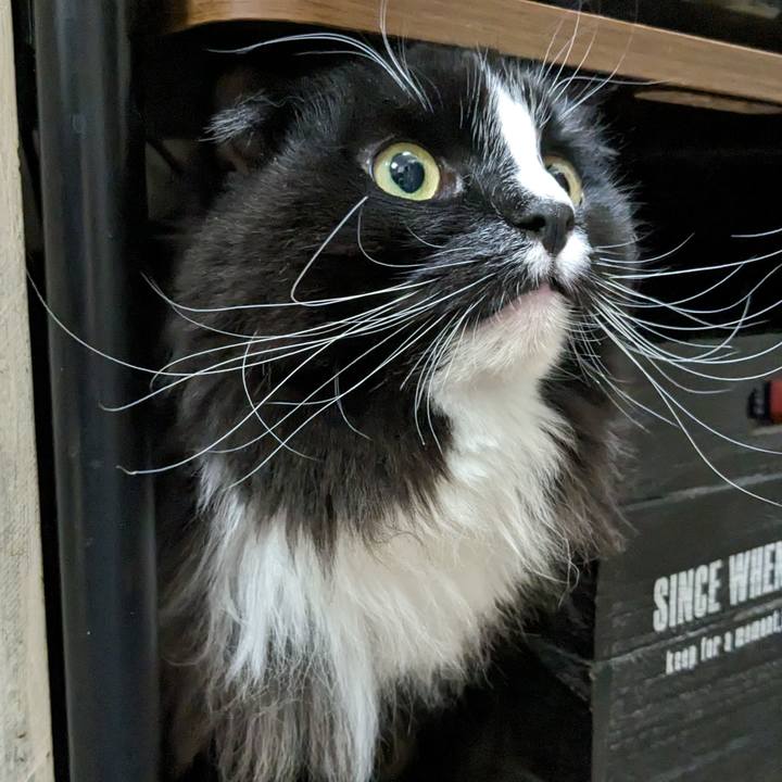 B0abd6a9 11db 4f7c a8aa 724819ec58a3 1709978248785