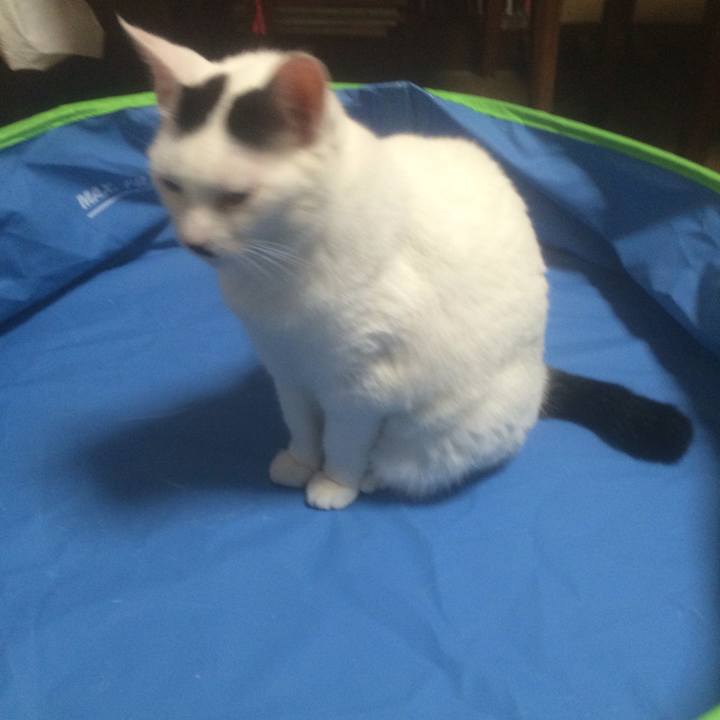 B0ac11b1 9bd7 4ef4 9dc2 62c41a85e453 1559658583601