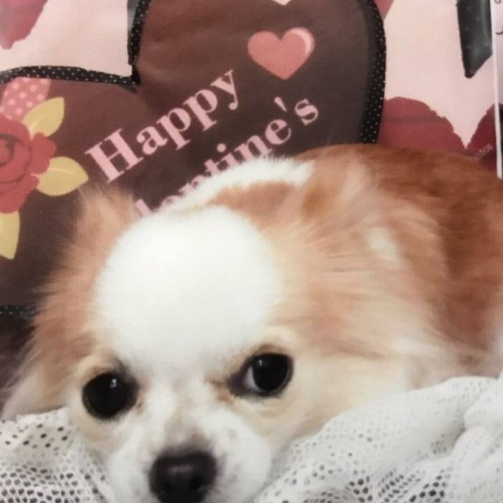 B0ac4ccb 29ee 47aa abd2 9f08306a65a3 1570147124840