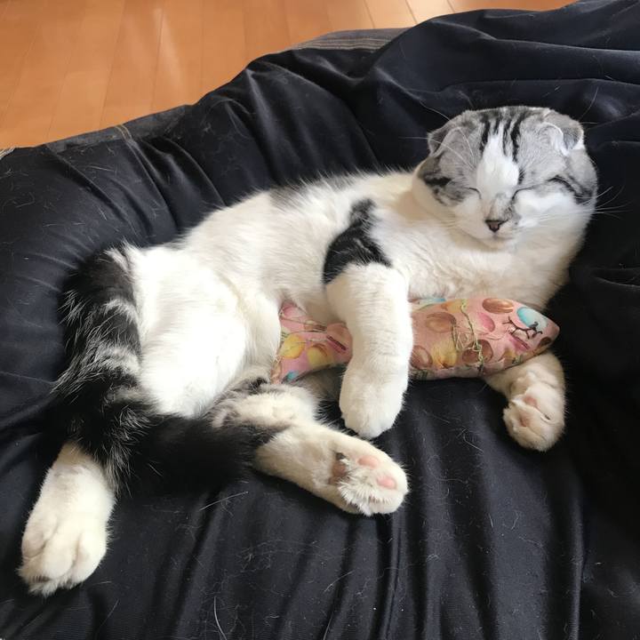 B0ac671c 685e 4ee5 8d40 d2039a12c82b 1646005518796