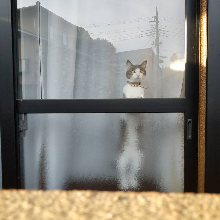 B0ac7af4 6170 420e 85fc e9c808ffea5d 1523763935342