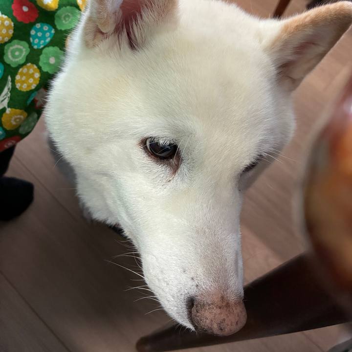 B0ac83ea bd72 477d 9534 3a6a697916c5 1769915259559