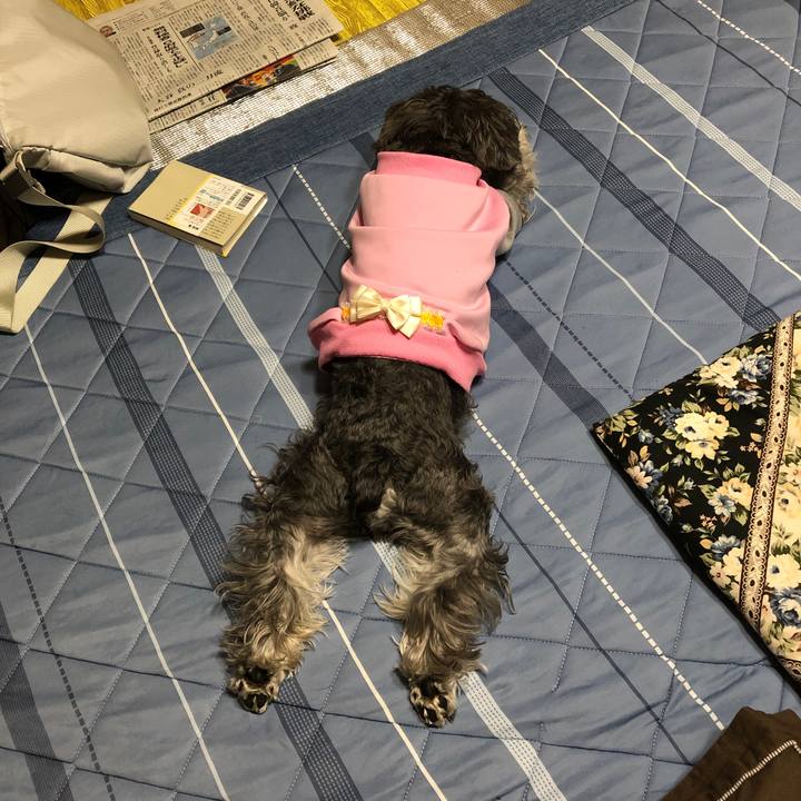 B0ac9939 b878 42ea 91b0 41dfed377a70 1665321729076