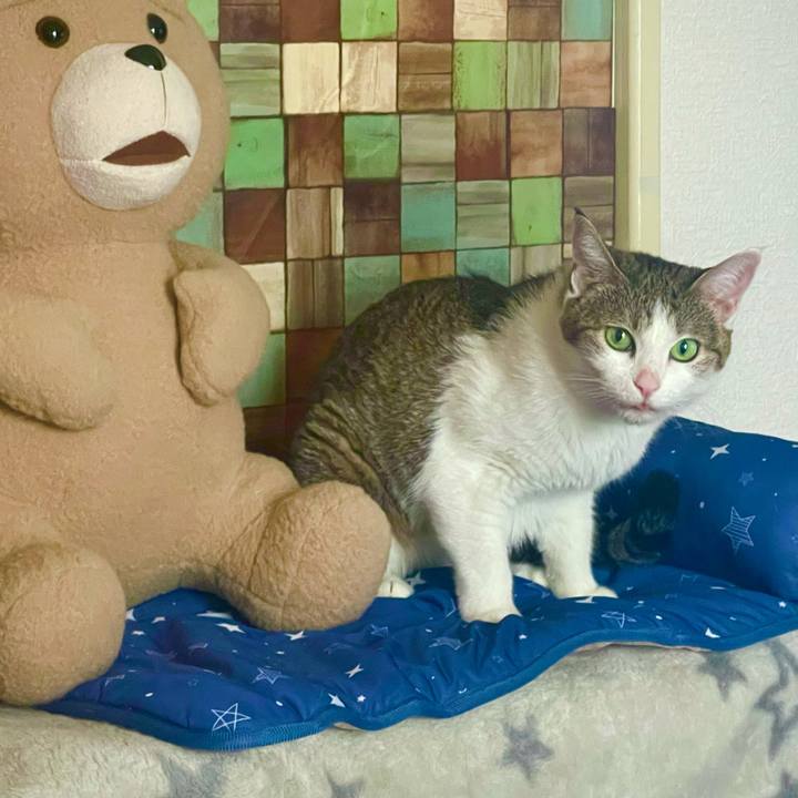 B0aca57f 6c78 455a 9514 8119e9b1d5bc 1627771652152