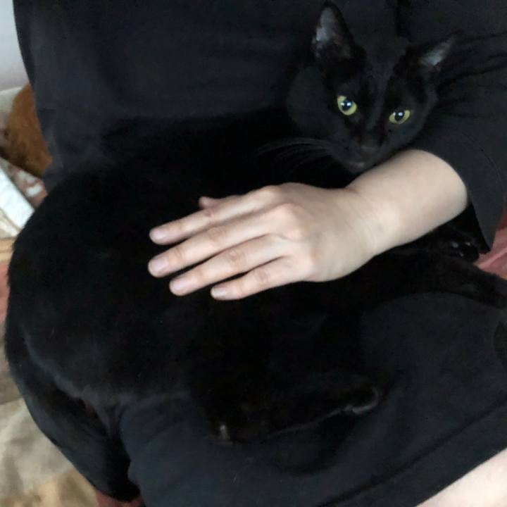 B0acb057 b73f 42be b474 9ff9066a1559 1671920638594