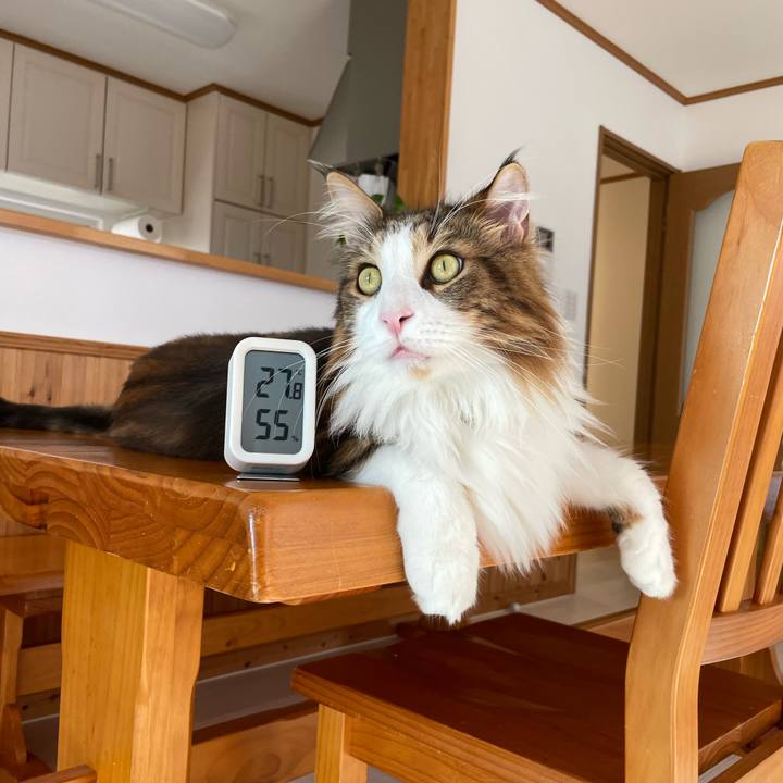 B0ace42d 2684 4df9 9778 f07e6c440a9f 1664606780417