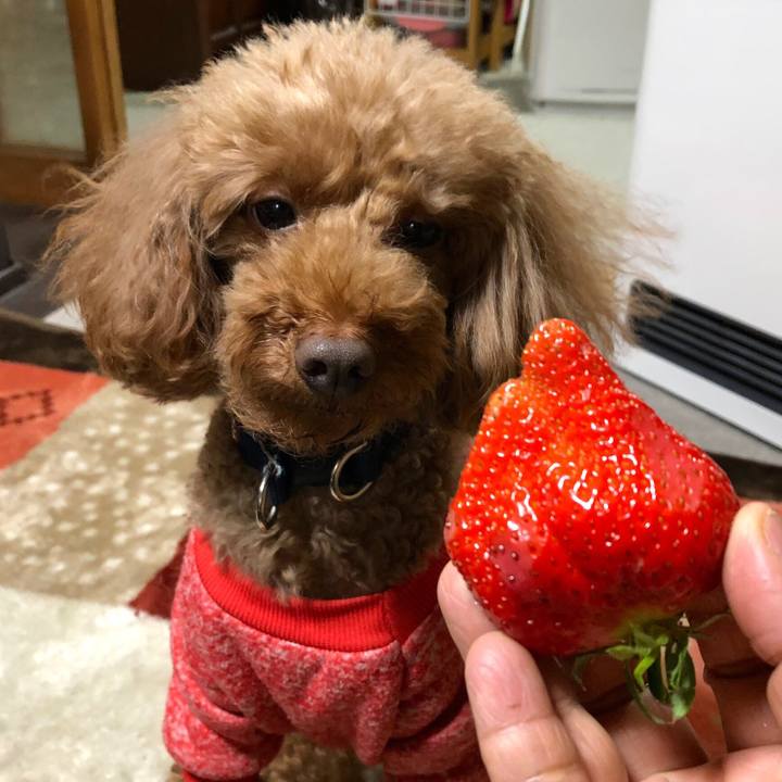 B0acead8 395c 4064 af56 0aff661de078 1549699014730