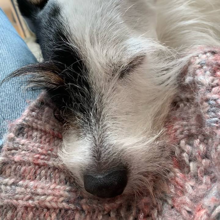 B0ad059e bb78 477a b4f8 b776291d53c0 1698201836570