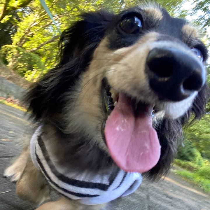 B0ad789a b7da 44cb 8e90 0f211b0377de 1722383084681