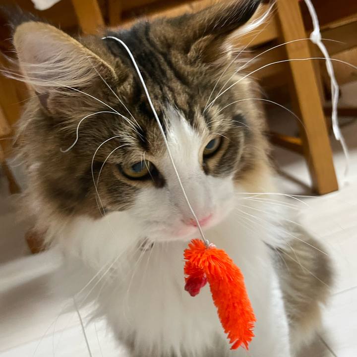 B0adb103 992b 43da 9f11 49675ba7989c 1641240256080