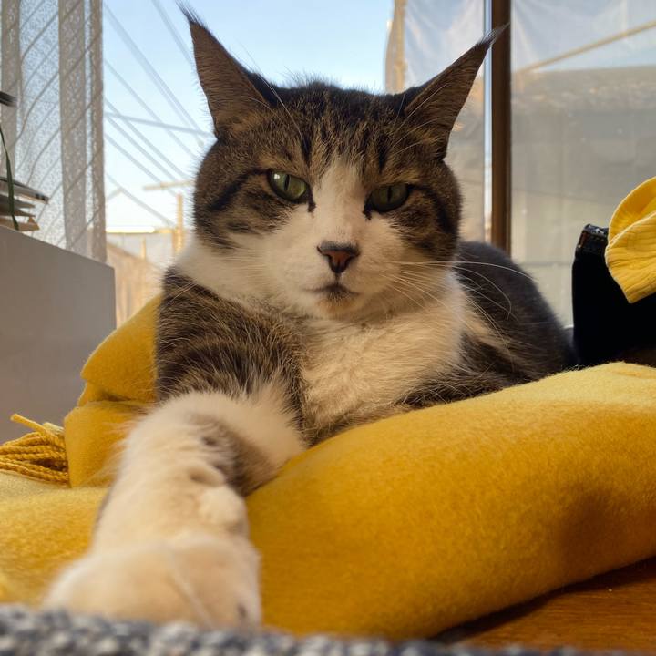 B0adc490 6ea1 4bec 87c7 2e00d7153ce6 1647096070608