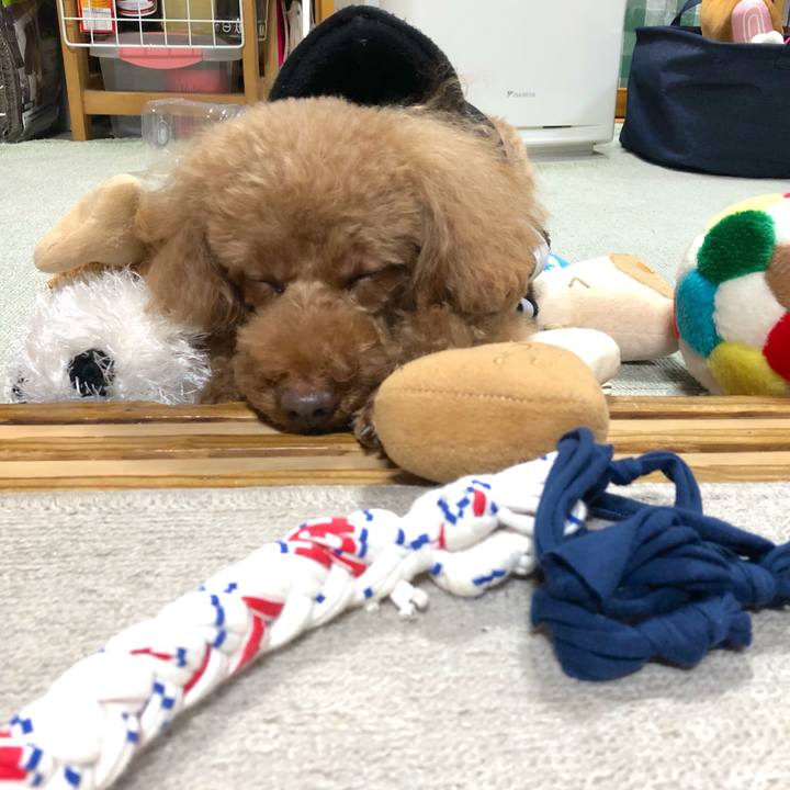 B0ade6ce d4a0 4a03 b067 4b45f2d10561 1550545099935