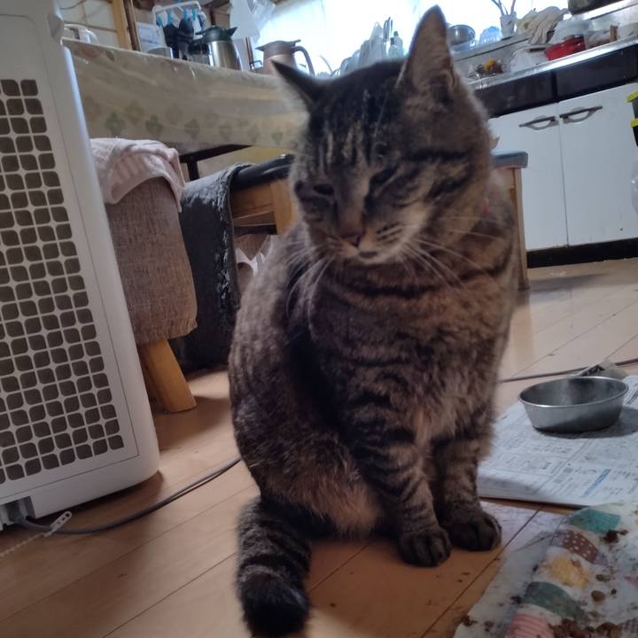 B0ae046a 88d0 4588 a5ff 507884f74577 1681080376160