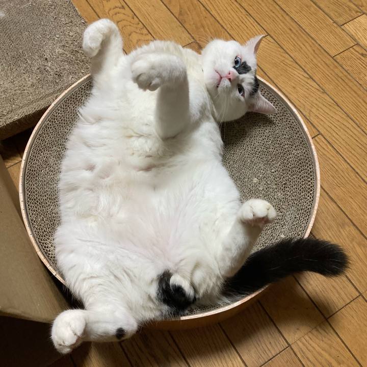 B0ae25e5 9820 4164 8e18 3ae8aa387a4a 1756302482732