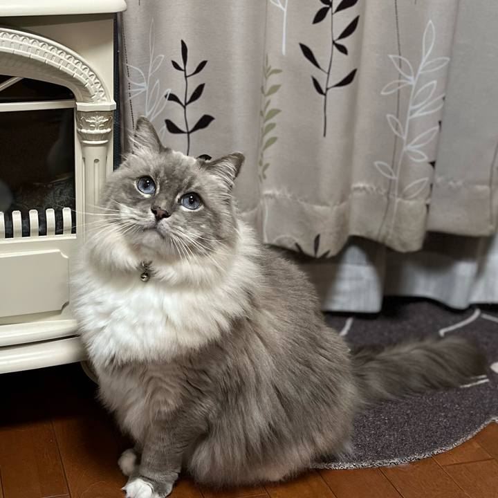 B0ae3335 93d6 4b92 9ff0 bb211495bd2a 1667465637488