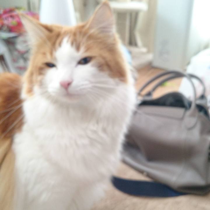 B0ae40d1 7259 42ab 8d81 95178bbe87fd 1513331848803