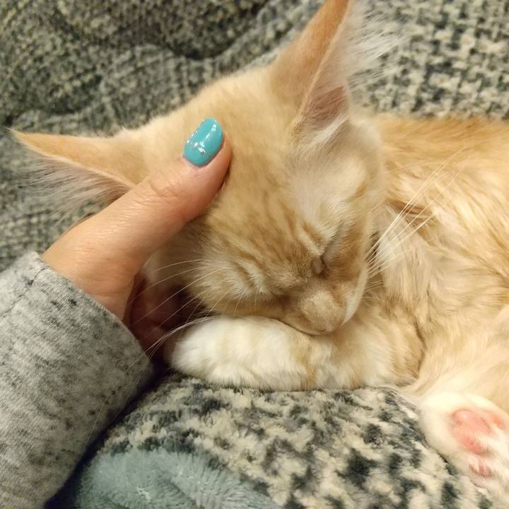 B0ae4481 ac2a 465c b8f9 a4e87aa5b6c3 1609420425249