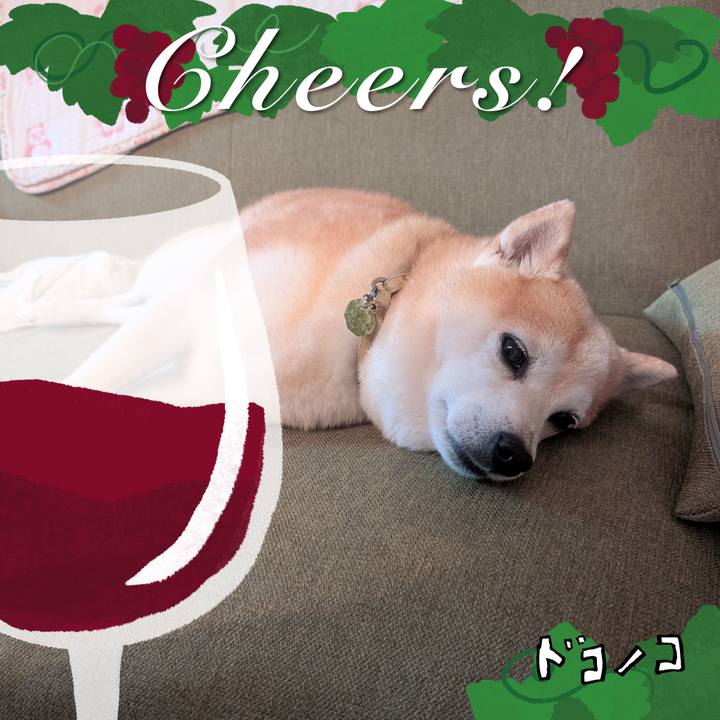 B0ae44d2 b30e 4989 abf1 89340c818ab2 1761457460242