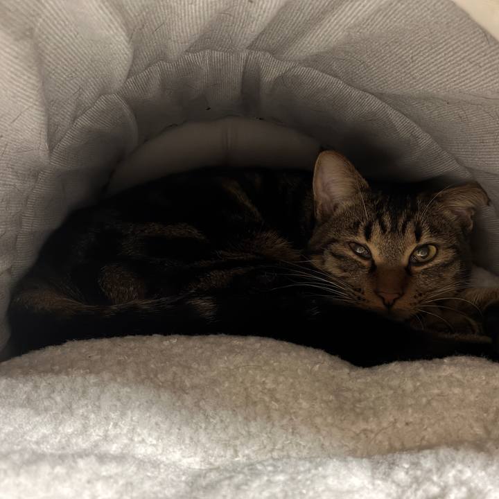 B0ae4872 4408 4d3a a68a 29dacb9e25d9 1763884541540