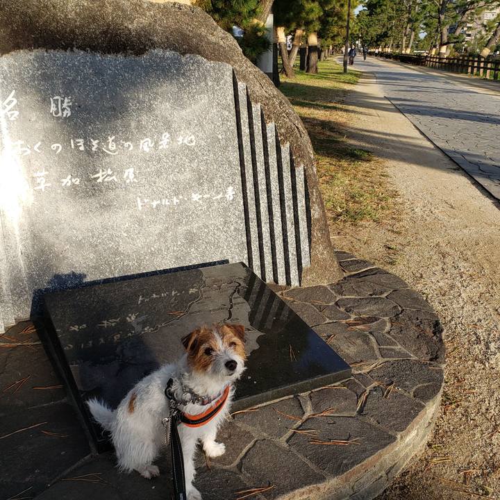 B0ae5aa9 421e 423c 88bb 2046993c2833 1636849596671