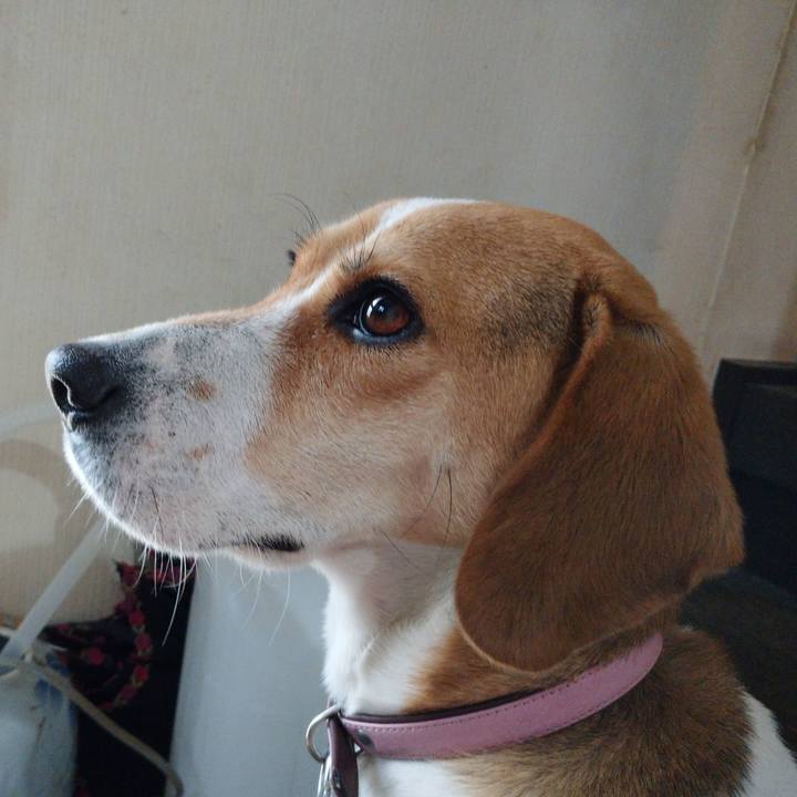 B0ae644b ef34 4bf4 989d 0504a3e87a89 1579669427553