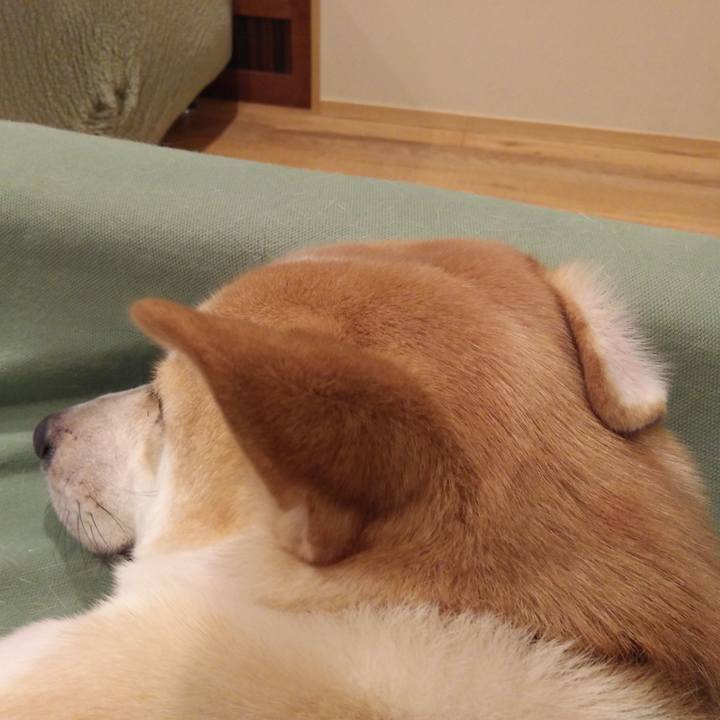 B0ae656e 80f4 45d1 b45e 080e4969bef4 1542882531537