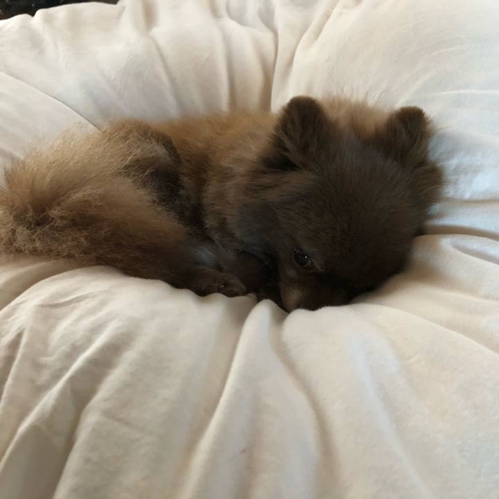 B0ae801b f1f1 4777 ae49 2afd7bc94cda 1555741985576