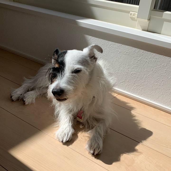 B0ae9572 8f85 40e5 af25 0fa0db4b529b 1696560569195