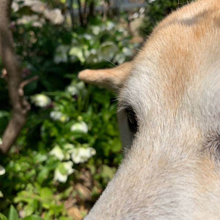 B0aed028 0379 4669 b6d9 2bec2694dc3c 1553906996053