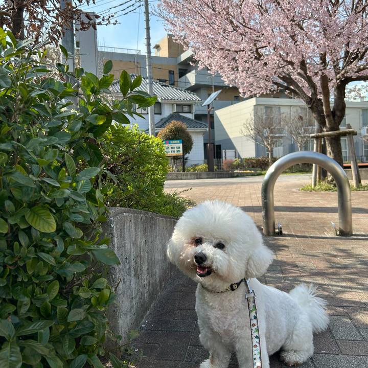 B0aedb86 9cd7 47f6 8cc2 cfb40df08a4b 1774351226076