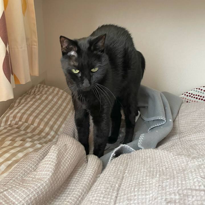 B0af05c5 9723 4558 bebd bb2e845c13f6 1642908805965