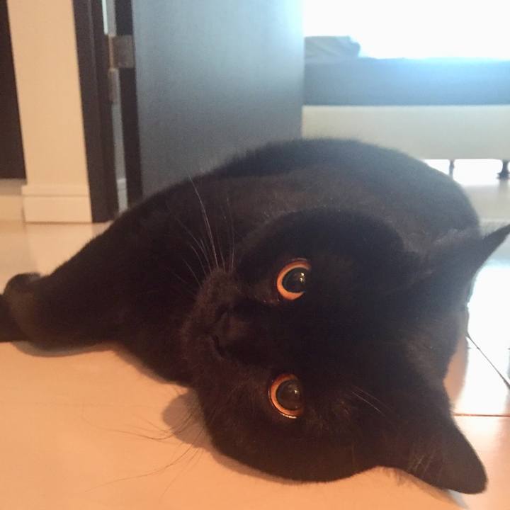 B0af1f52 74ac 4291 b754 df2a87c315d6 1527802641782