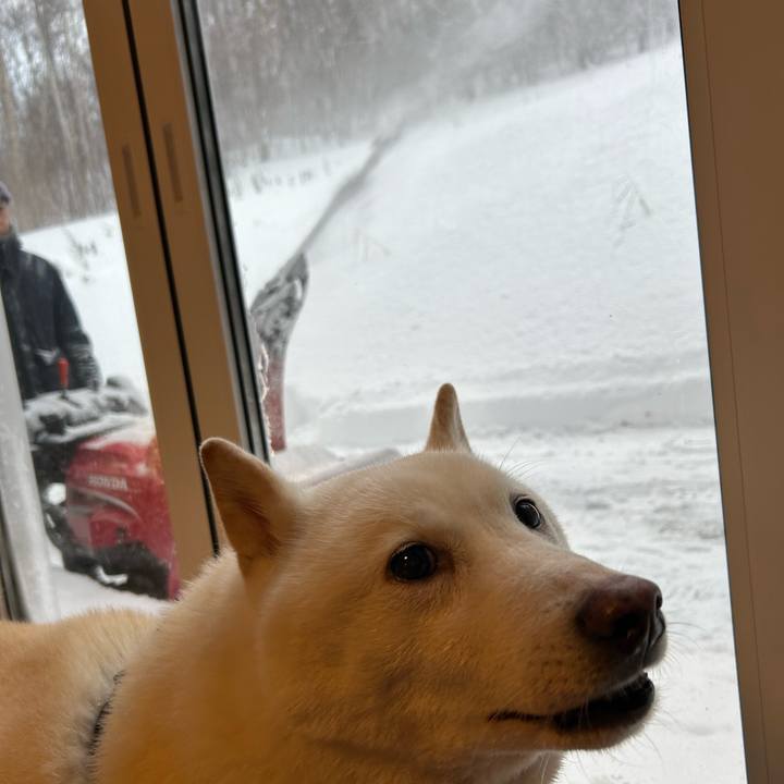 B0af2676 5251 4355 a73f 093503b5e24e 1733962498471