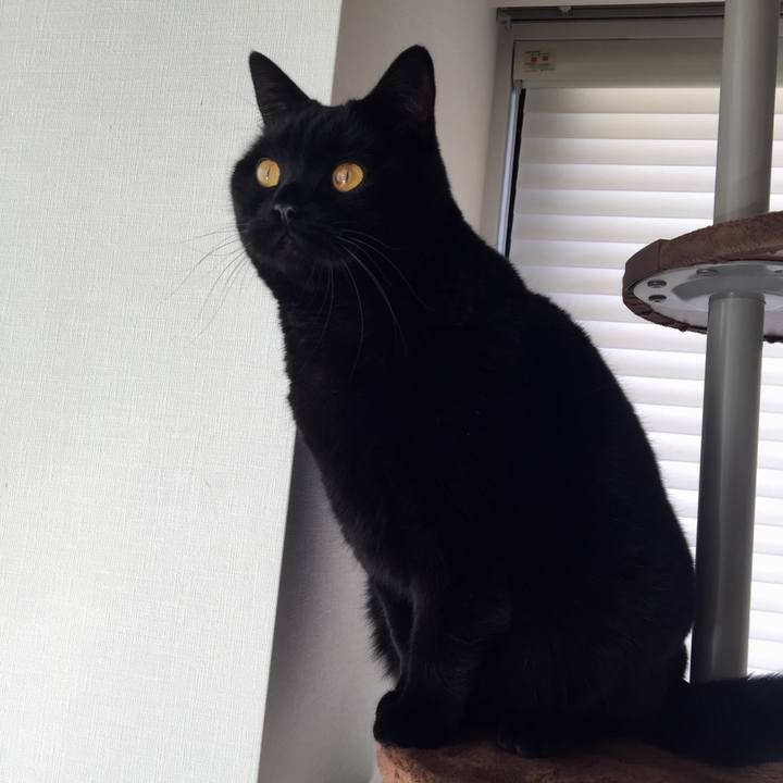 B0af3af6 efc8 4ed0 bac8 07baf5b28157 1575777014488