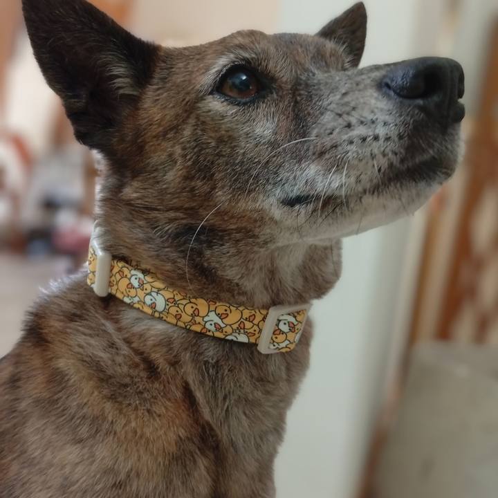 B0af6a0b af8b 48fb 9068 033dc22eb797 1746713525336