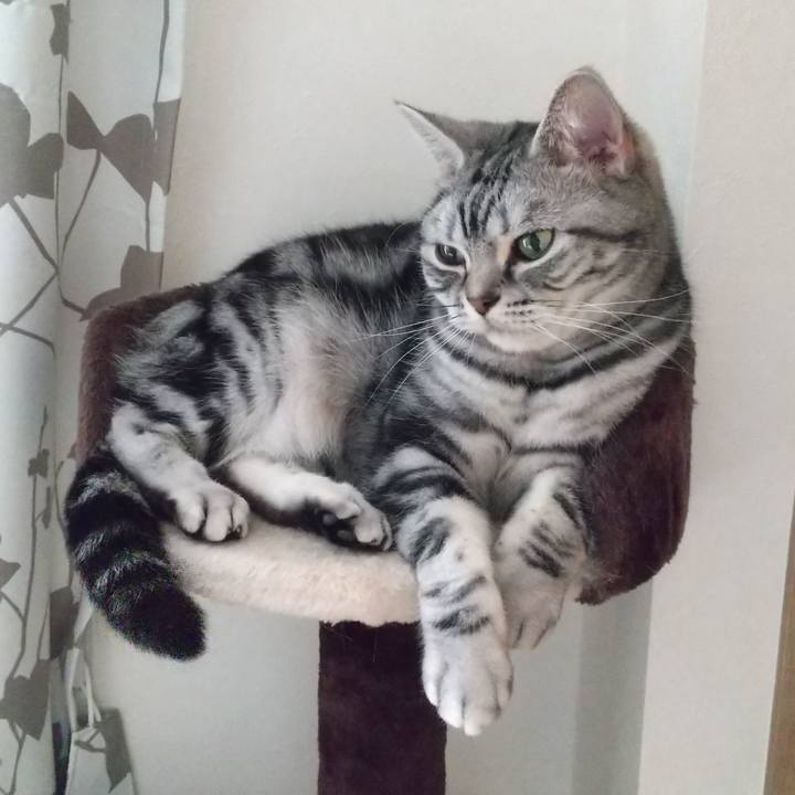 B0af7c9b 0286 47a4 9039 32548c35274d 1653302537064