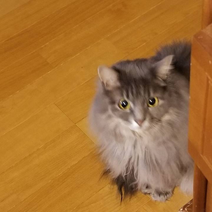 B0af9e7f 1918 45fd 85b4 5592619850e3 1583927909130